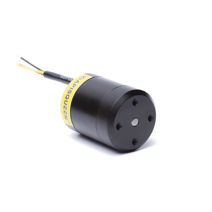 Apisqueen 12-16v (3-4s Lipo) 2828 Mini Small Motor Outer Rotor Brushless Motor Waterproof DC Motor for Underwater Thruster/ROV